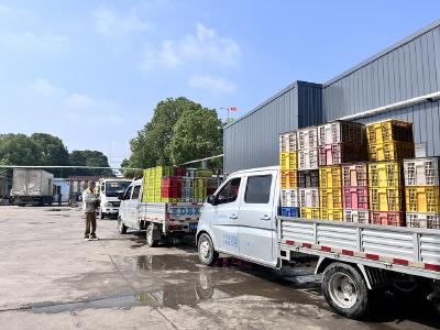 小龙虾加工热潮涌动 产业蓬勃发展势头足