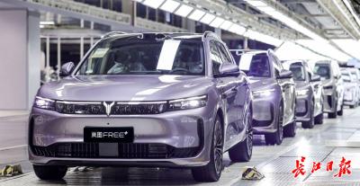 东风汽车加速打造具身智能汽车，岚图实现从电控向智能系统跃迁