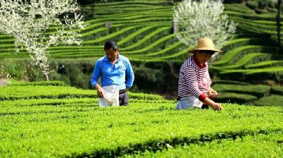 “重大转折点！”宜昌这里充满期待…… 