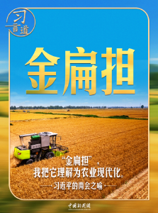 习近平的两会之喻｜“金扁担”，我把它理解为农业现代化