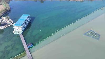 长湖水底有诗行