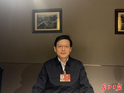 “我们要有高志气、高目标、高追求” ——全国两会代表委员共话武汉“高地”建设