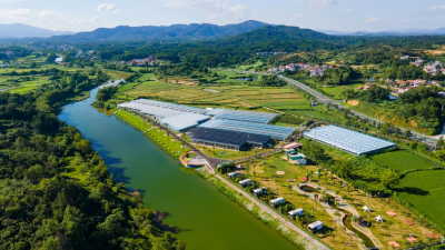 武汉黄陂姚家集：从“一处美”到“全域美”的乡村振兴新探索