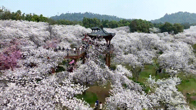 从“客场”到“主场”，读懂武汉文旅“朋友圈”扩容背后的经济逻辑