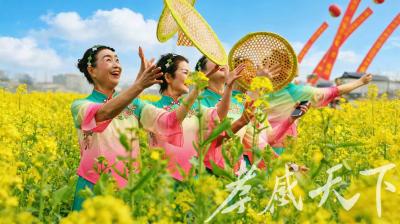 花海里的“致富经”，汉川解锁乡村振兴“赏花密码”