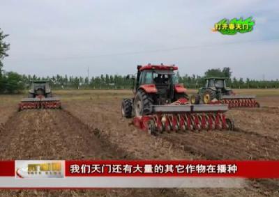 【打开春天门】  “铁牛”助农春耕忙