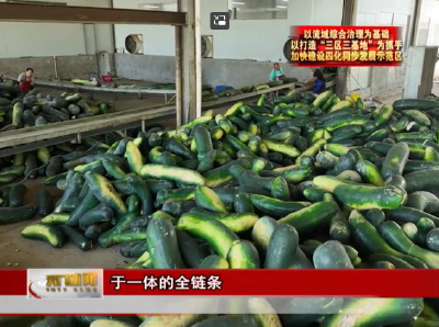 【以流域综合治理为基础 以打造“三区三基地”为抓手 加快建设四化同步发展示范区】  延长产业链 冬瓜变“金瓜”