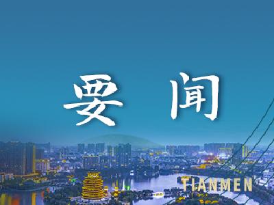 湖北代表团全体会议审议全国人大常委会工作报告和“两高”工作报告 王忠林主持并发言
