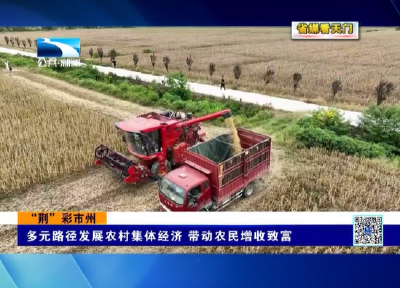 【省媒看天门】  天门：多元路径发展农村集体经济 带动农民增收致富