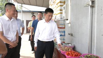 纪道清到卢市镇调研深入贯彻中央八项规定精神学习教育开展和七项重点工作推进情况  锚定目标任务 强化统筹协调  确保各项工作落到实处取得实效