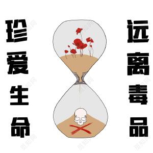 皂市镇：拒绝毒品 点亮青春