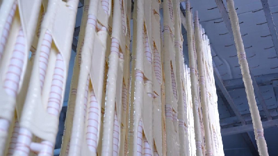 新华视点｜非遗传承：做古老技艺的“时光摆渡人” 