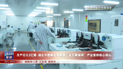 1月29日【天门新闻】