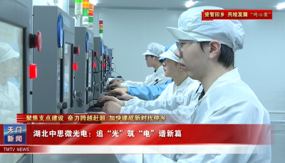 【聚焦支点建设 奋力跨越赶超 加快建成新时代侨乡·资智回乡 共绘发展“同心圆”】湖北中思微光电：追“光”筑“电”谱新篇