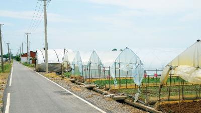 长江·十年·十村｜新春走基层