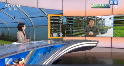 【央媒看天门】  湖北天门 早稻集中育秧 科技助力效率提升