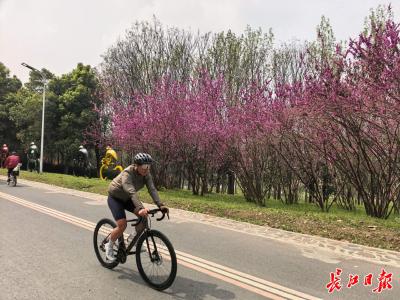 你知道汉口怎么“长大”的吗？答案就在这条堤上