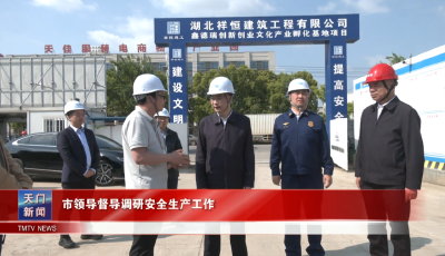 市领导督导调研安全生产工作