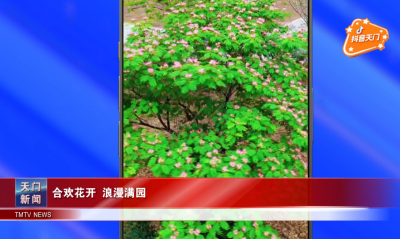 【抖音天门】合欢花开 浪漫满园