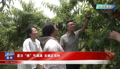 【记者走基层】夏日“桃”气满满 采摘正当时