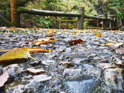 最是一年秋光好 香溪源头景迷人