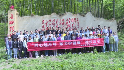 徒步丛林 林区人民医院职工健康生活新体验