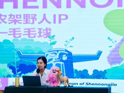 神农尚礼三度摘银奖 让神农文化“活”在掌心