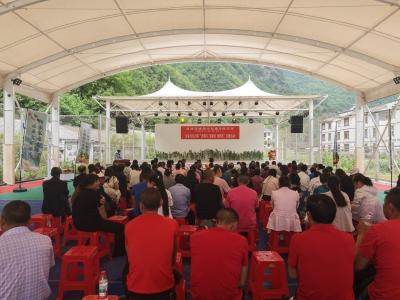 林区多部门联合举办“我们的节日·端午”主题活动