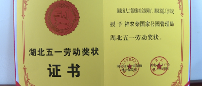 神农架国家公园管理局荣获湖北五一劳动奖