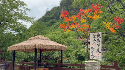 红坪镇：微景观扮靓乡村颜值