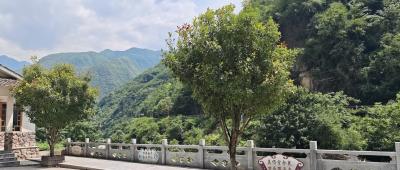 记者回访宋洛乡“清洁家园”反馈问题整改情况