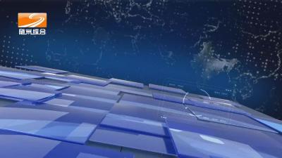 2023年1月8日随县新闻