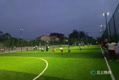 深化调查研究，“调出”群众幸福声音 -----记随州高新区寨塆社区综合体育广场建成，满足群众健身需求