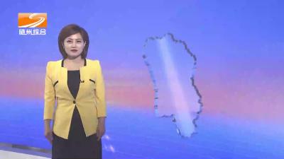 夏卫东调研大洪山农文旅融合发展工作提出 立足资源禀赋发展优势产业 以农文旅融合推动高质量发展