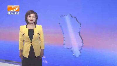 2023湖北·随州大洪山半程马拉松赛事动员会召开