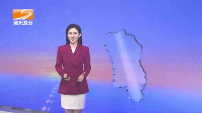 大洪山千亩天麻示范基地喜挖“金果果”