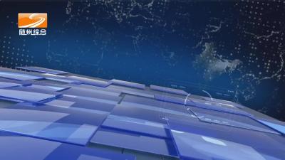 2023年11月21日随县新闻