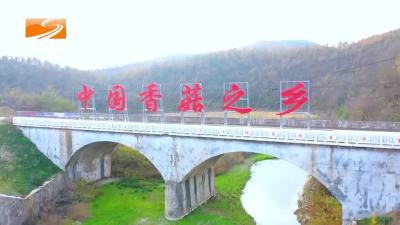 2024年4月16日随州新闻