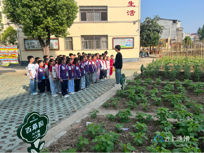 唐县镇小学开展劳动教育与数学学科融合活动