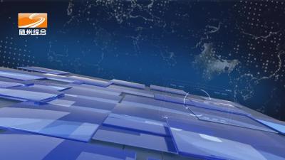 2024年8月8日随县新闻