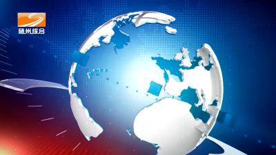 2024年8月22日广水新闻