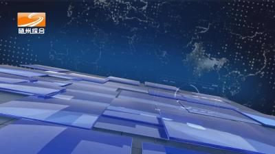 2024年8月22日随县新闻