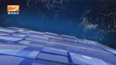 2024年10月19日 随县新闻