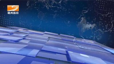 2024年10月25日曾都新闻