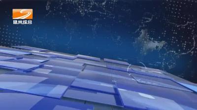 2024年10月31日随县新闻