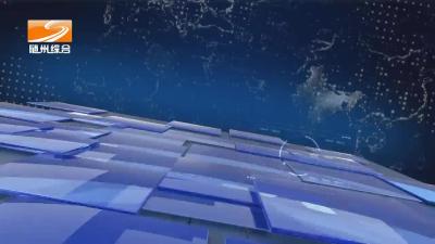 2024年11月14日随县新闻