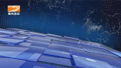 2025年5月20日随县新闻