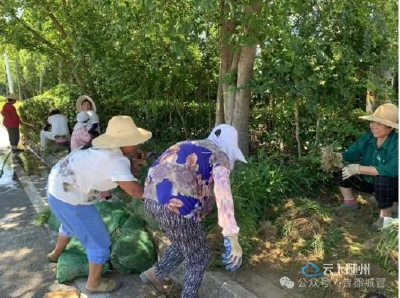 烈日淬炼绿意 汗水浇灌靓丽