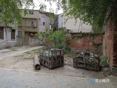 西城街道通津桥社区：以口袋公园为支点 撬动民生与营商双提升