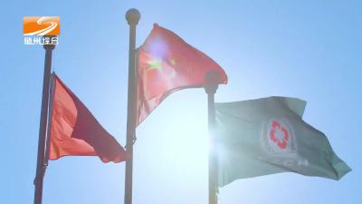 2025年8月15日随州新闻